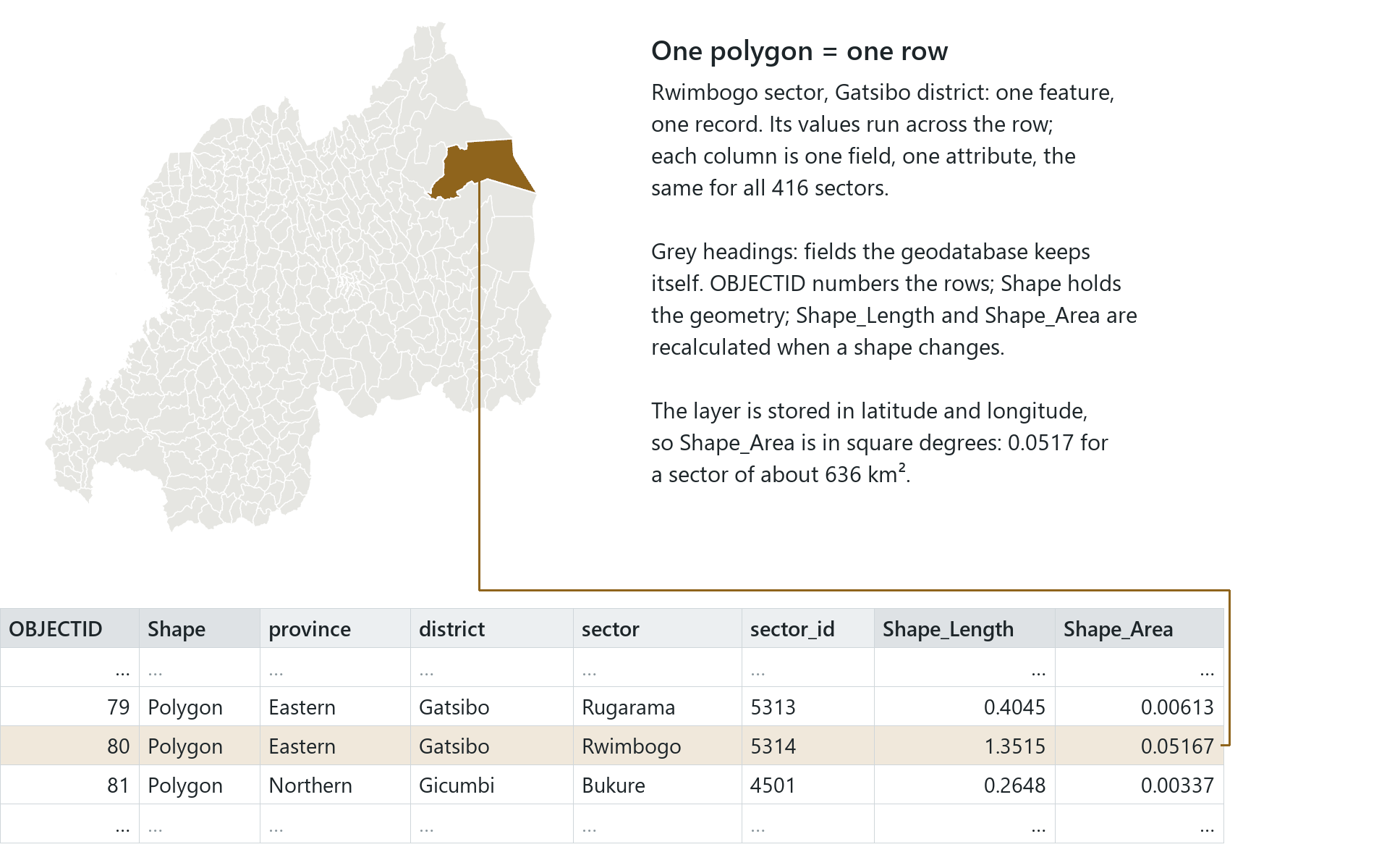 One polygon corresponds to one row. Rwimbogo sector in eastern Rwanda is one feature of the 416 in the national sector layer and one record in its attribute table. The grey headings are fields that the geodatabase maintains automatically.